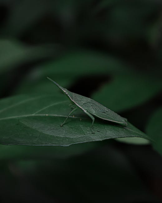 A close-up image of a green leaf with a small, pale green caterpillar resting along the edge, showcasing the fine texture of the leaf's surface and the delicate appearance of the caterpillar. The back